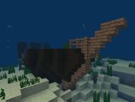 Shipwrecks are a common sight and worth exploring